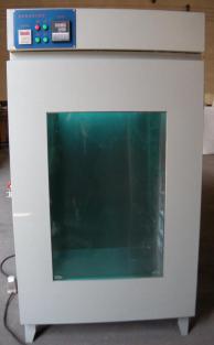 ���⾀(xi��n)�ϻ���